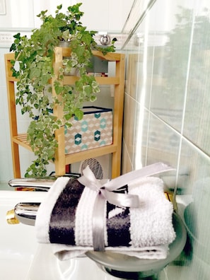 Shower, free toiletries, hair dryer, bidet