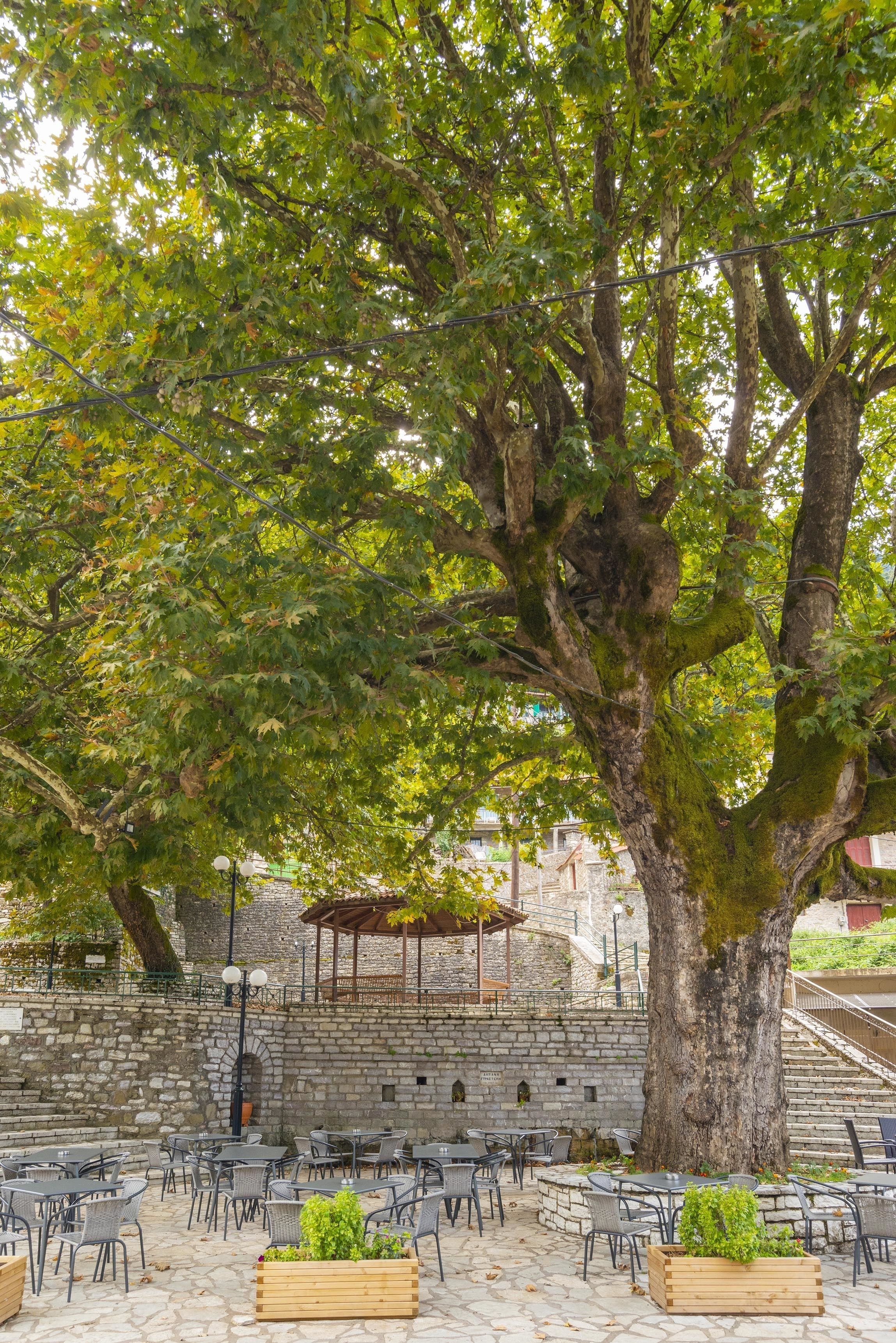 Un área de café al aire libre con paredes de piedra, mesas y sillas de metal, rodeada de árboles grandes.