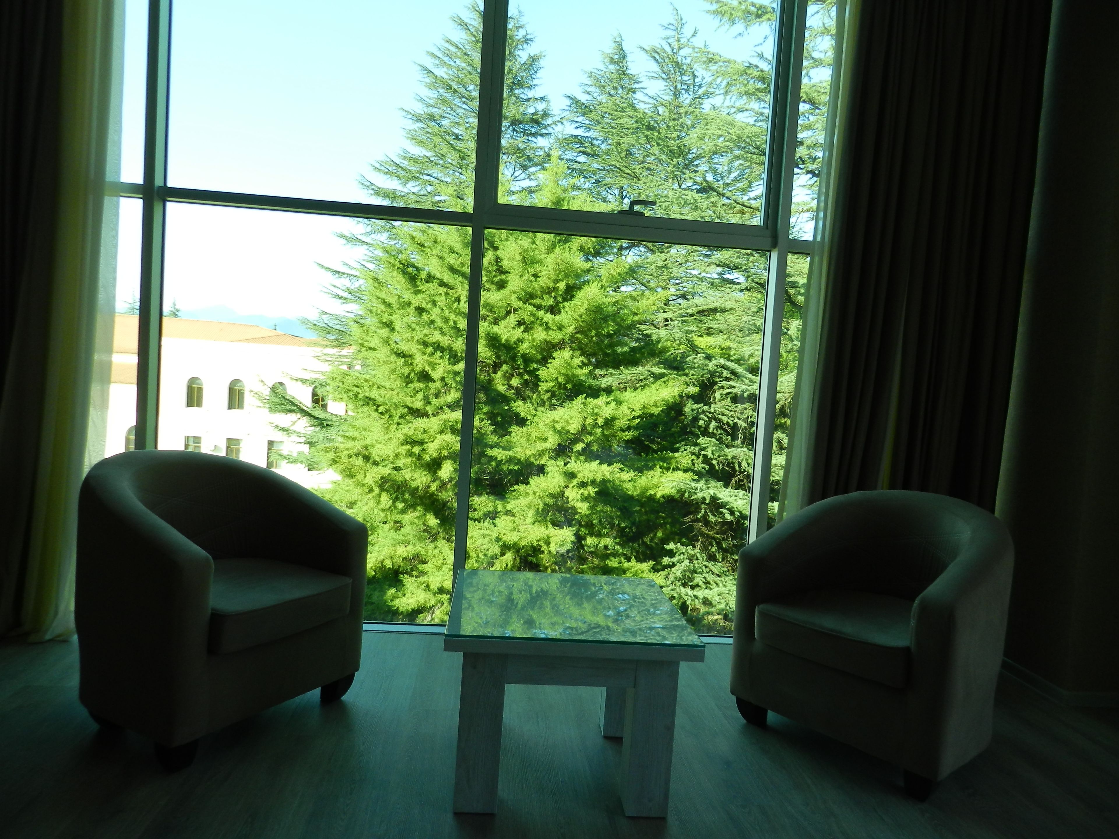 Panoramic Double or Twin Room, Multiple Beds, Accessible, Balcony | Egyptian cotton sheets, premium bedding, minibar, in-room safe