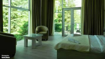 Luxury Suite, 1 King Bed, Balcony | View from room