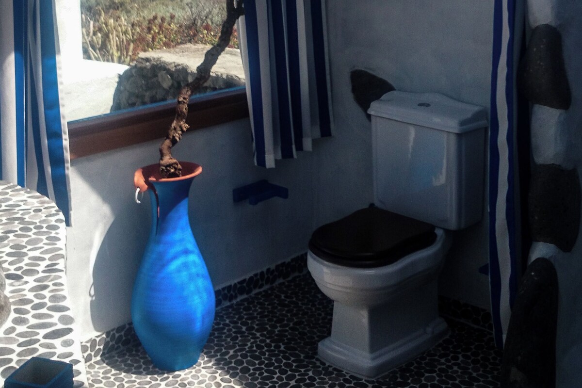 Een kleine badkamer met uitzicht op zee, een toilet, een blauwe vaas en een vloer met een patroon.