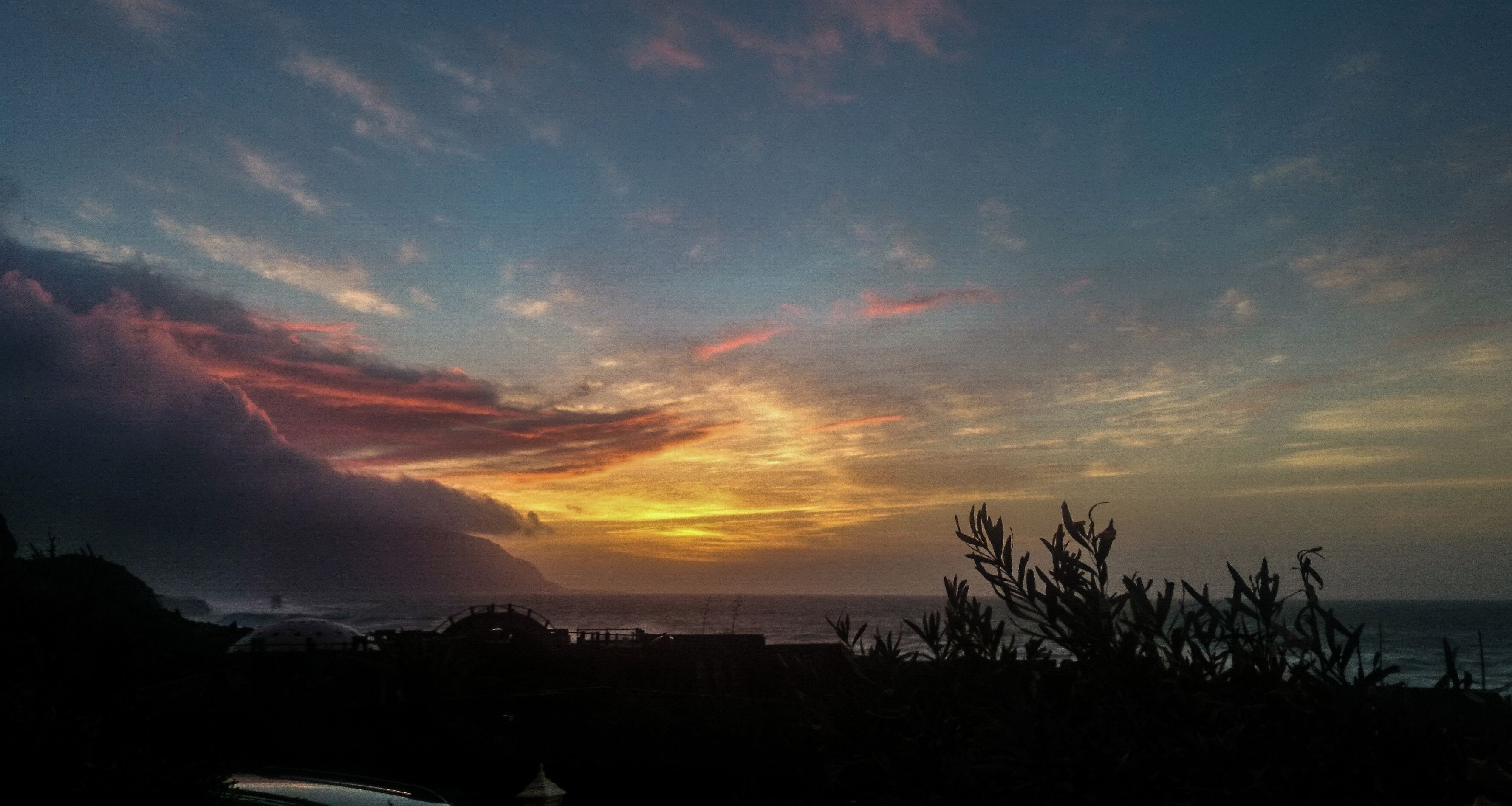 A coastal sunset with silhouettes of vegetation and a distant view of the sea.