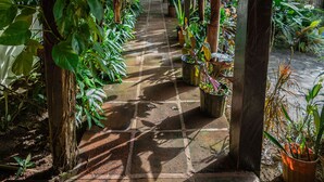 Une allée couverte, dotée d’un sol carrelé, bordée de différents types de plantes en pot et de verdure.