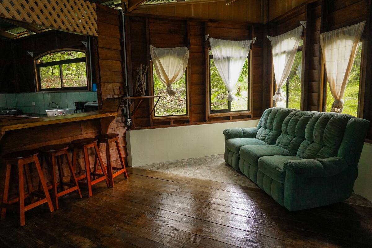 A cozy room with a wooden bar, a green sofa, and a window with curtains.