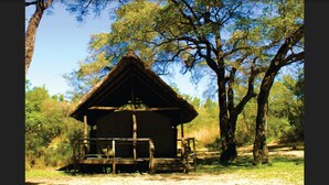 A rustic cabin with a thatched roof, surrounded by trees and a dirt path.
