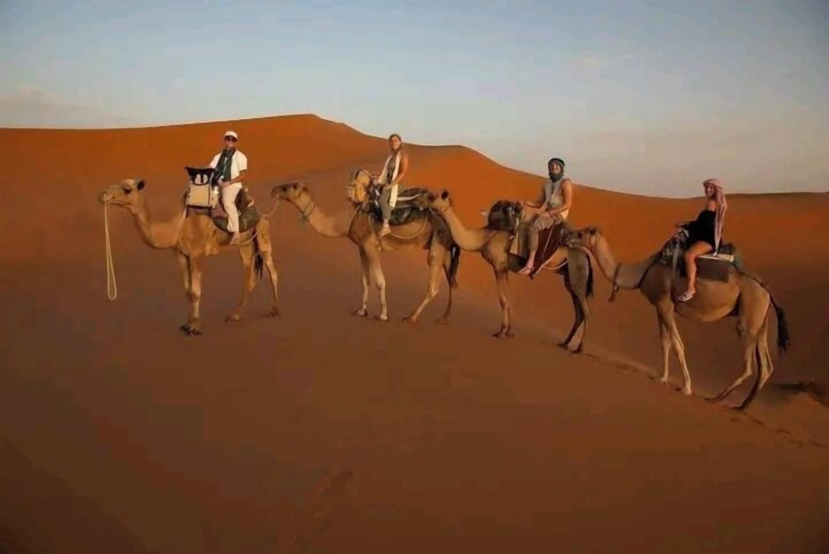 A group of people riding camels across a desert landscape.