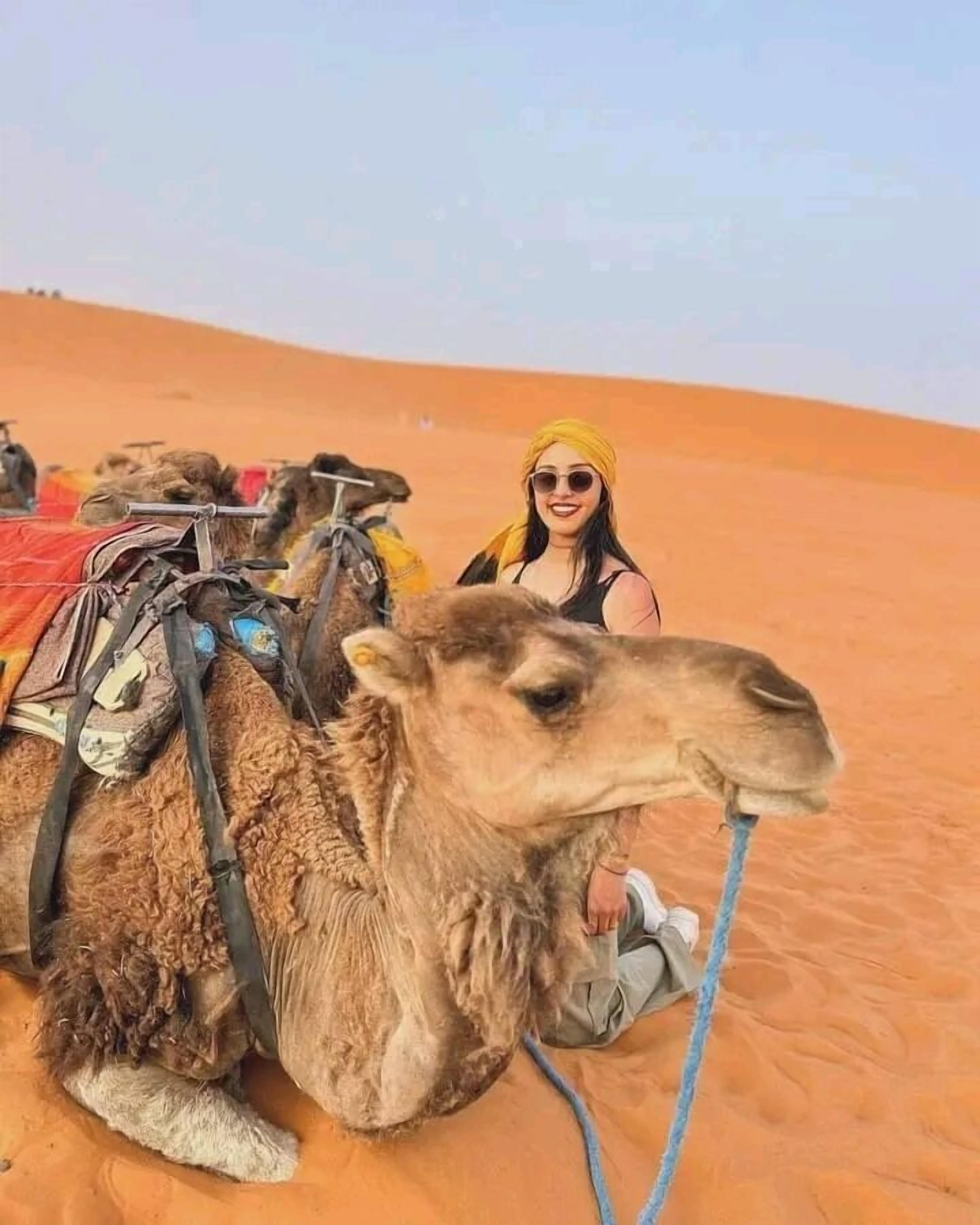 Ein Kamel mit Sattel und Geschirr in einer Wüstenlandschaft.
