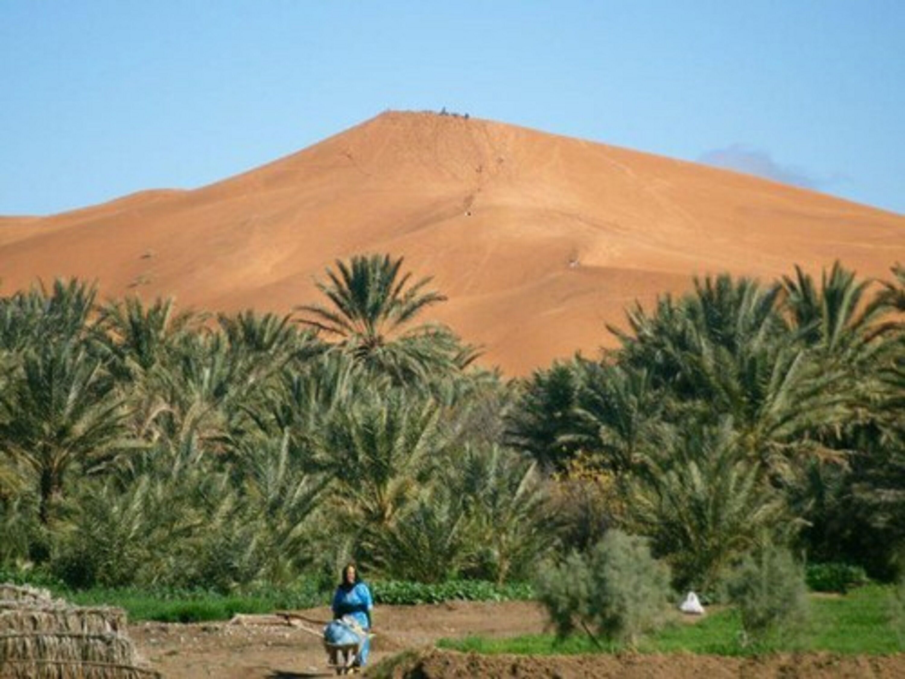 A desert landscape with a large hill, palm trees, and a person sitting on a mat.