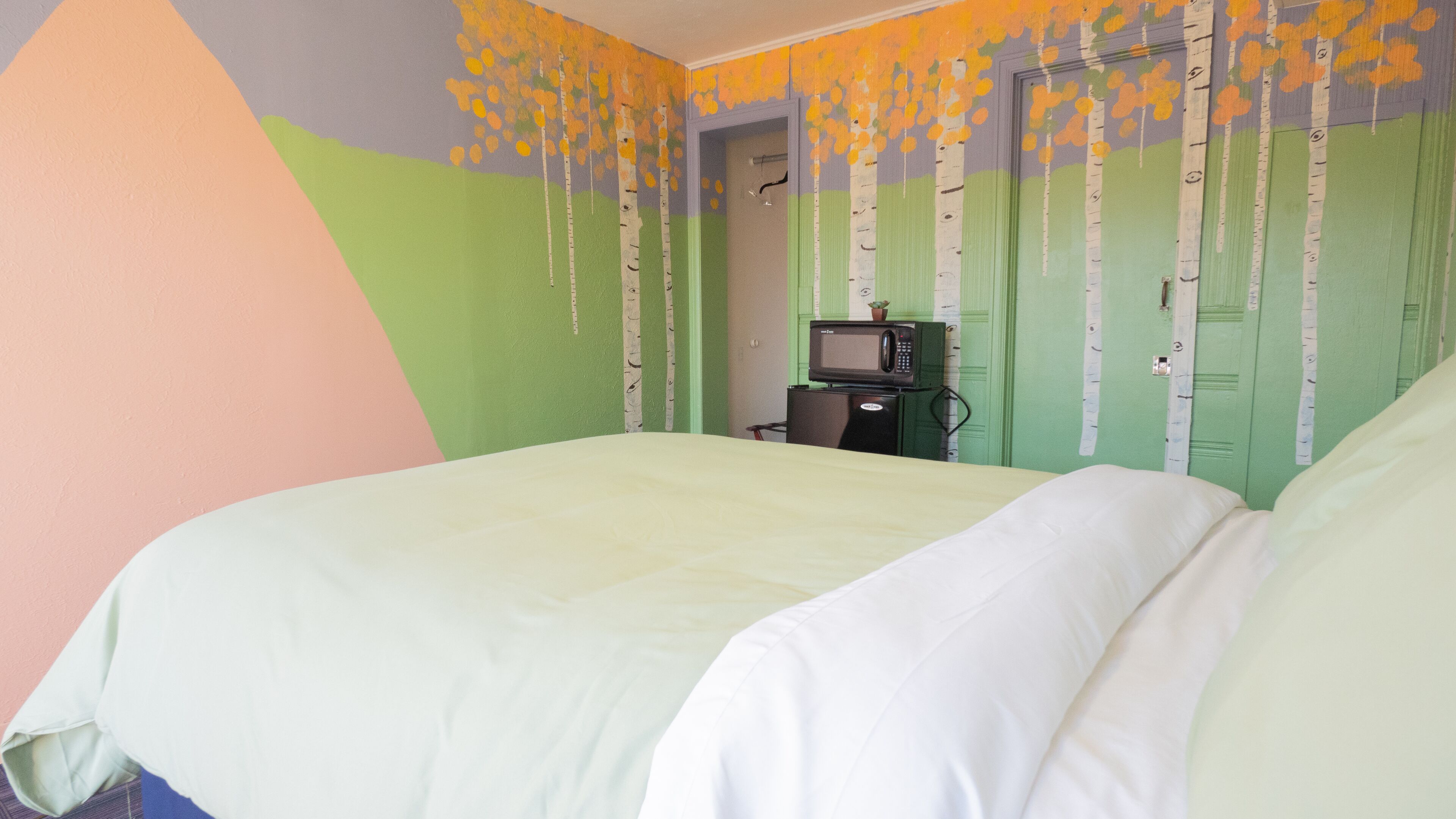 Une chambre avec un lit, une télévision et un four à micro-ondes.