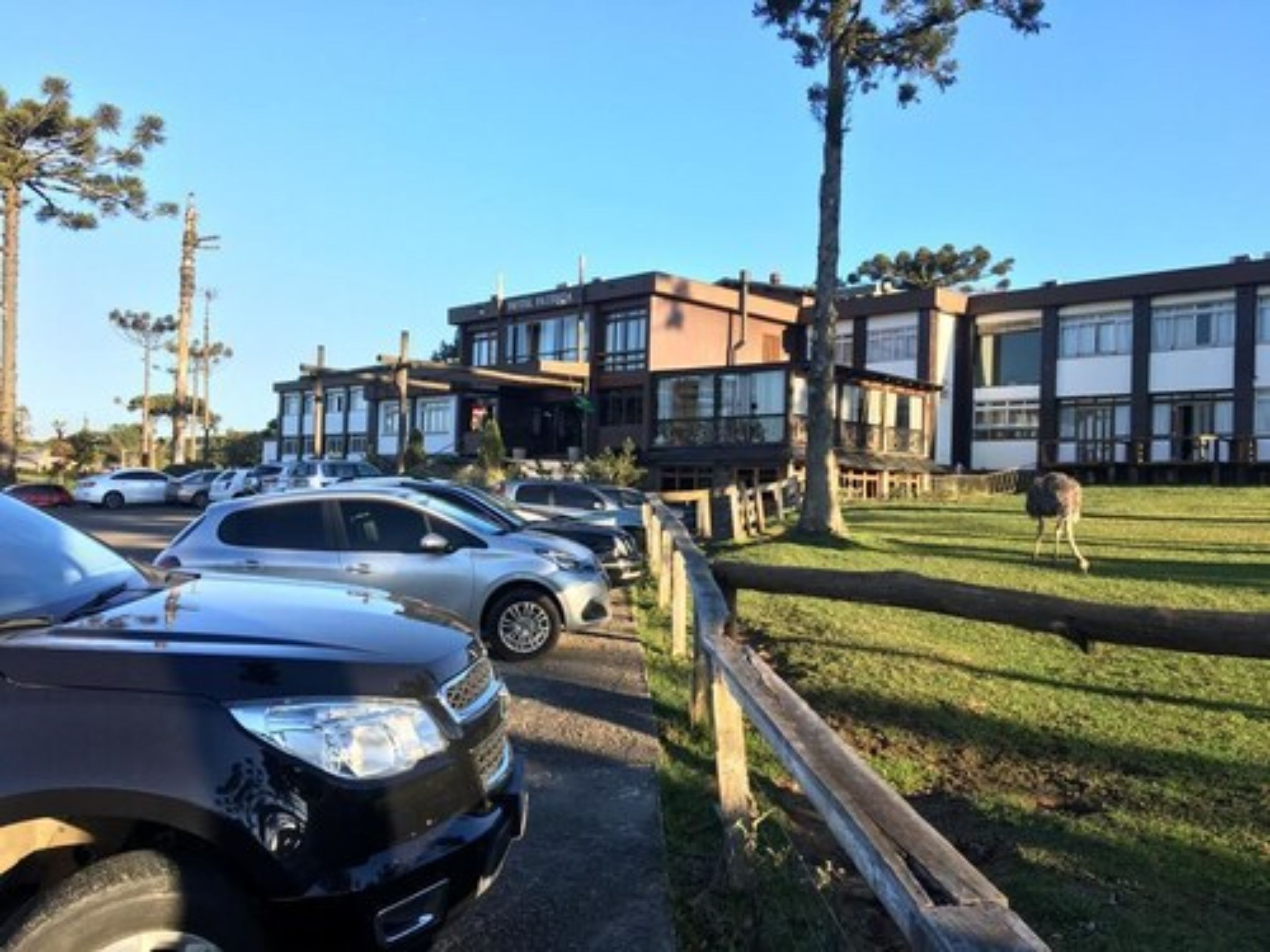 Un estacionamiento con varios autos, un área verde con una cerca y un edificio con múltiples ventanas y balcones.