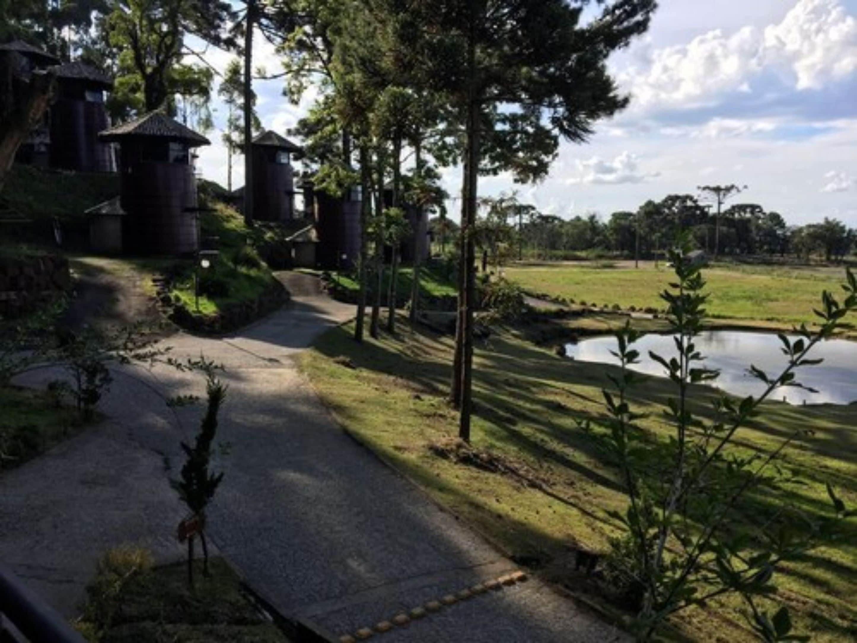 A pathway leading to a pond with a rustic building in the background.