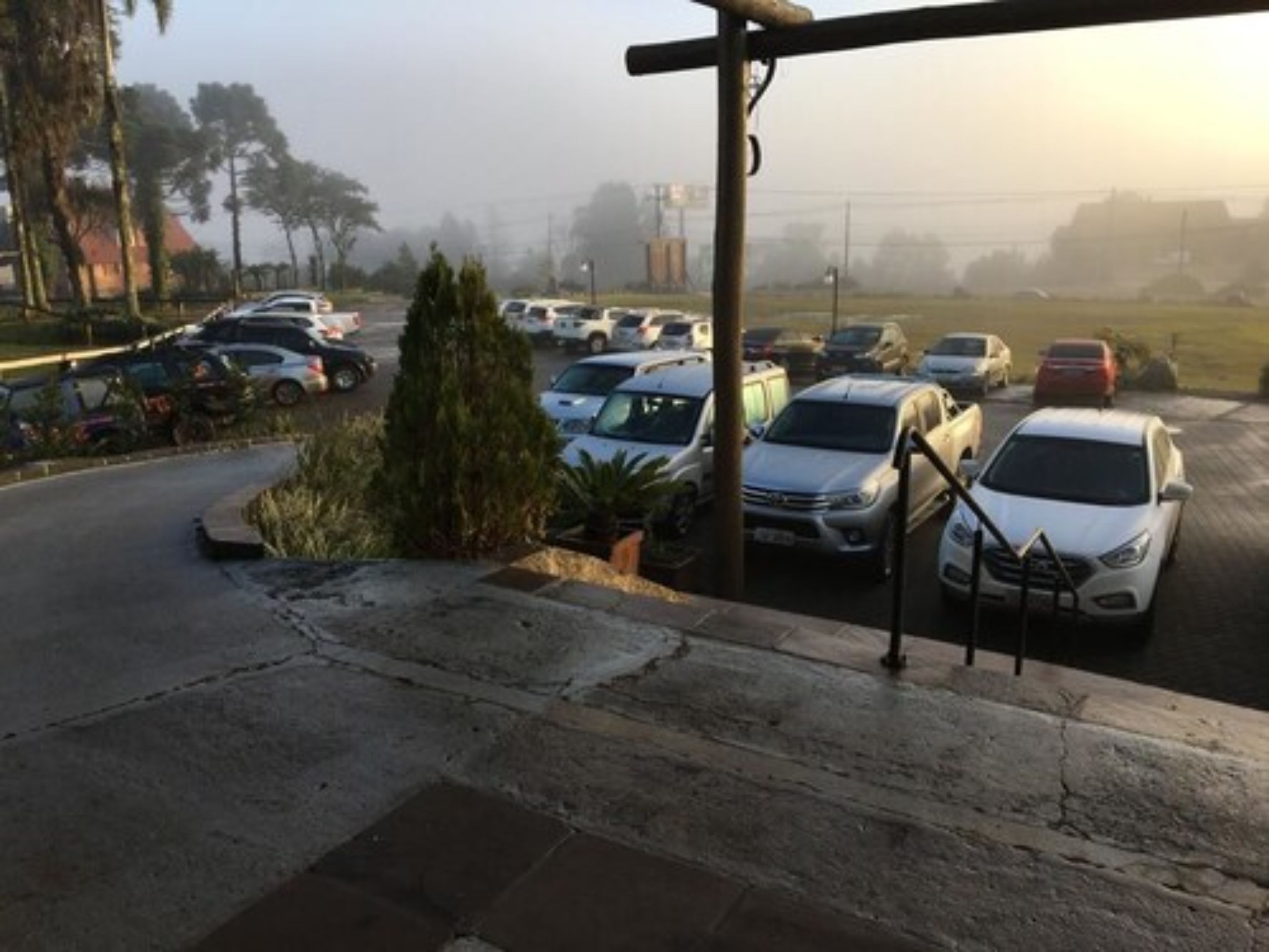 Un parking où de nombreuses voitures sont garées en rangées, avec un petit arbuste vert et une rambarde métallique.