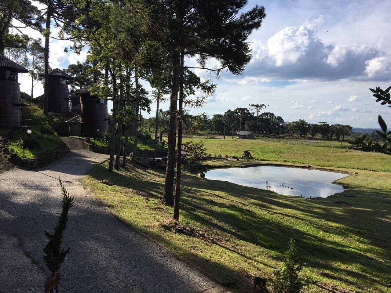A pathway leading to a pond surrounded by grass and trees, with buildings in the background.