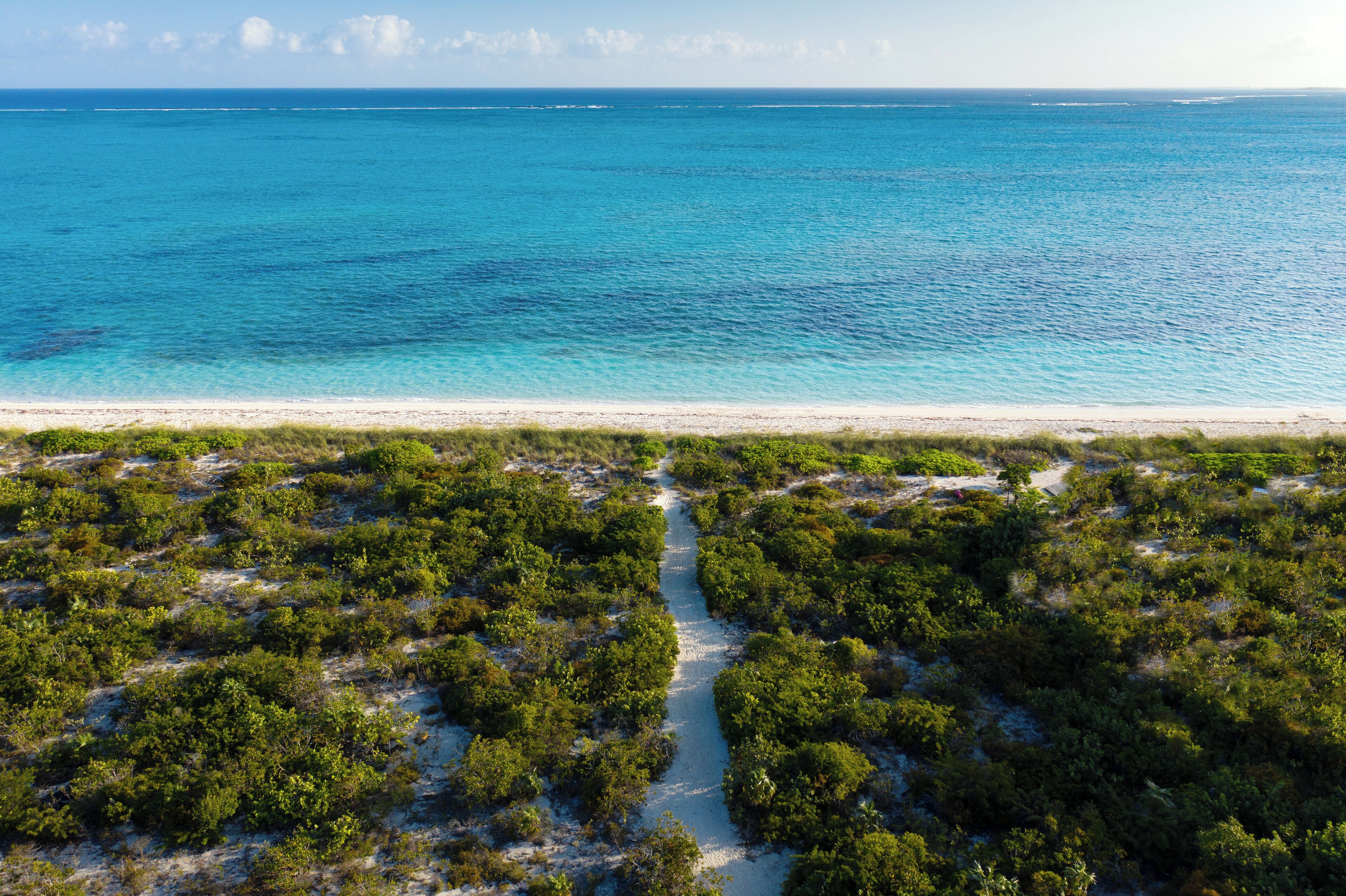 Ett kustlandskap med en sandstrand och tät vegetation.