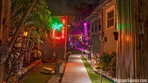 A pathway leading to a house with neon signs and tropical plants. - With Oasis Shared Backyard (St. Petersburg)