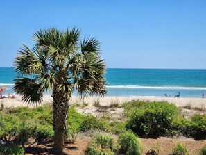 Une plage avec un palmier, un ciel bleu clair et l’océan.