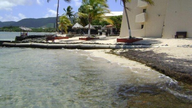 A beach with clear water, palm trees, and a building with a flat roof. - St Croix vacation rental (Christiansted)