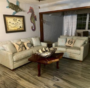 TV, DVD player, video library