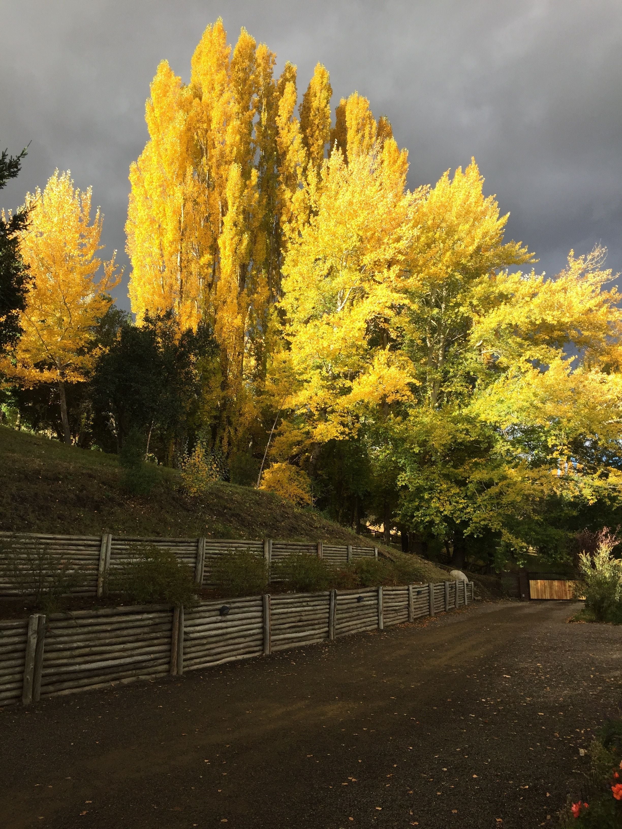 Photo - Casona Del Alto