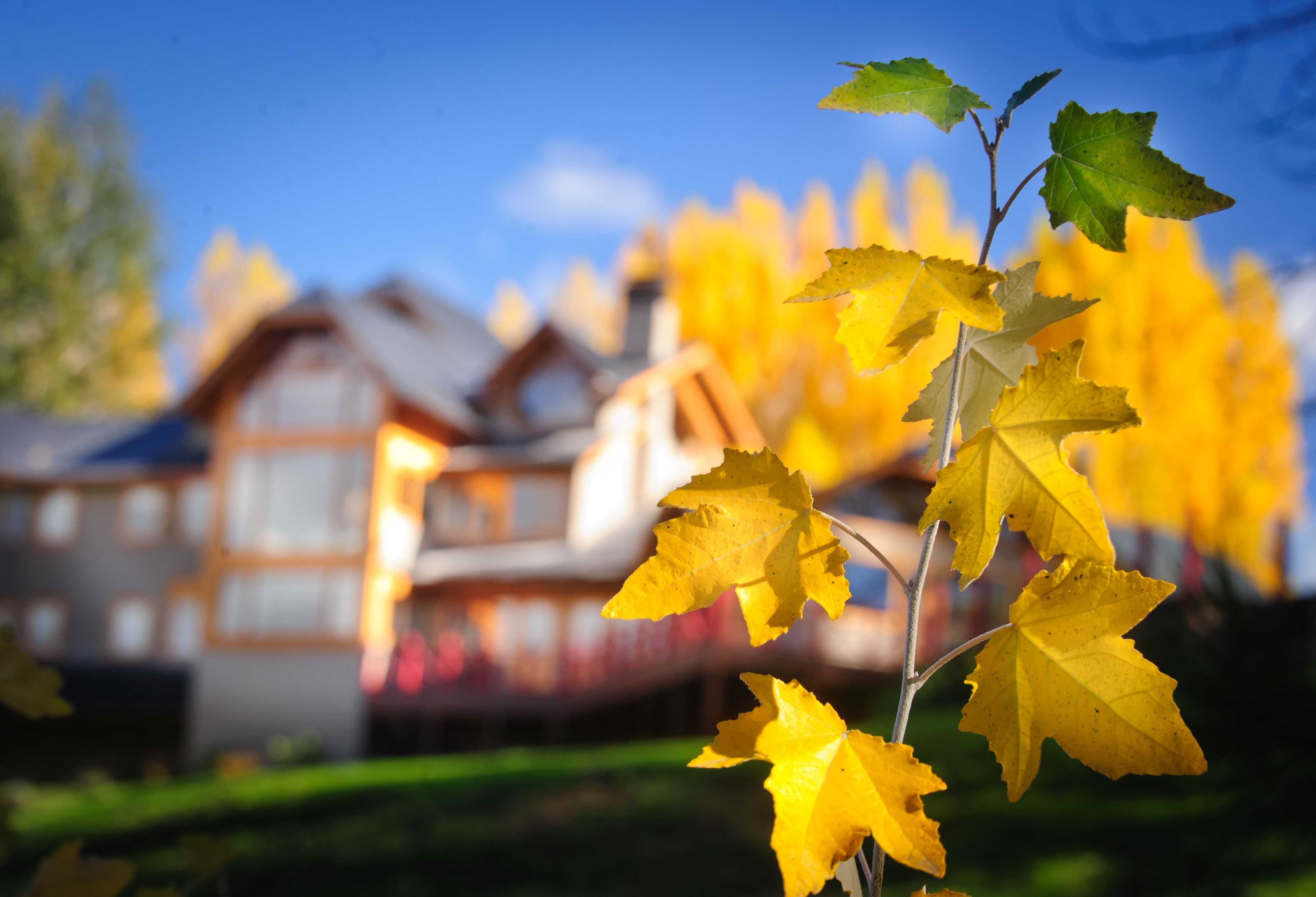 Photo - Casona Del Alto