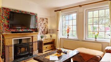 TV connectée, cheminée