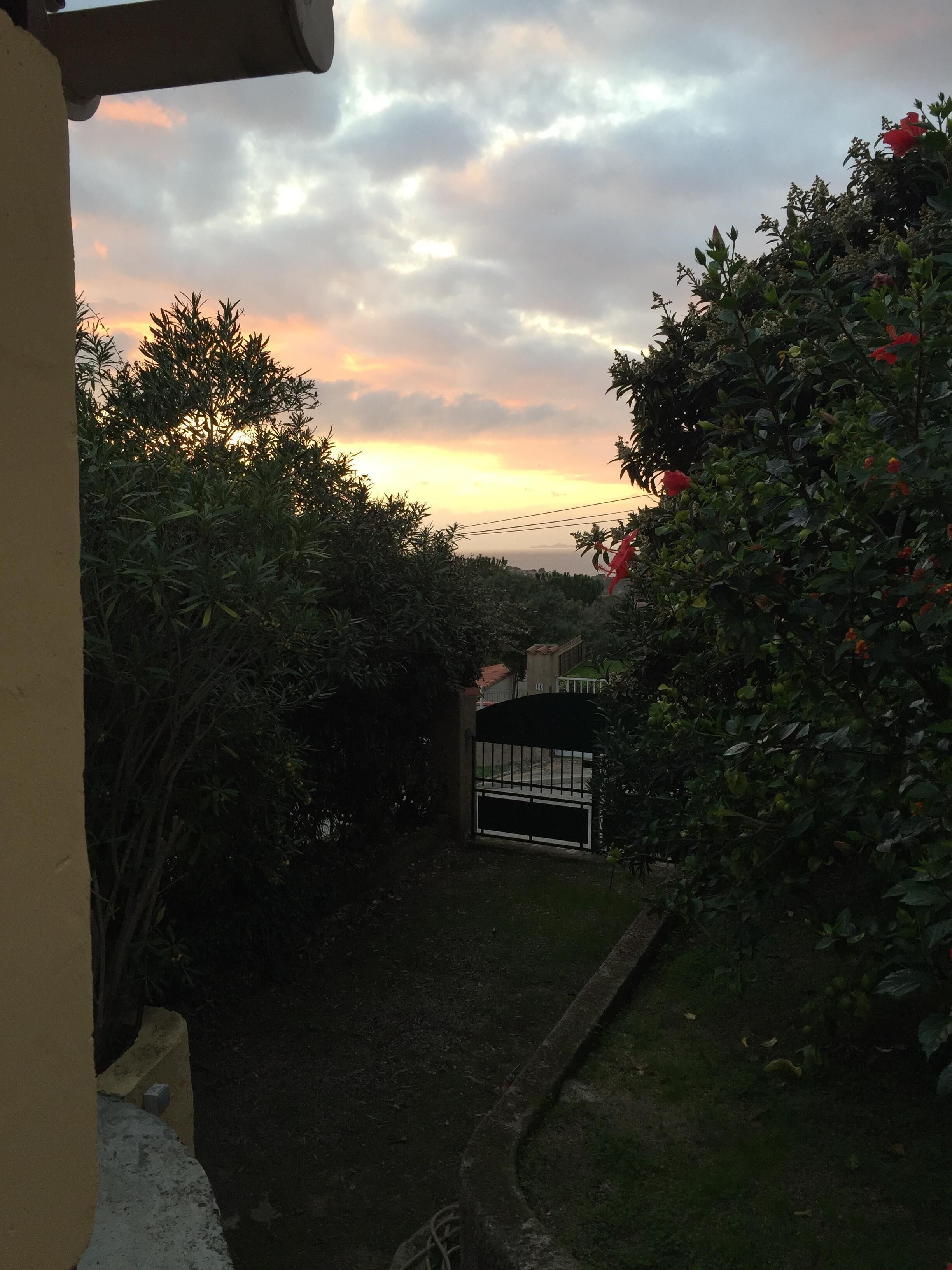 Vista a un jardín con una reja, follaje denso y un atardecer al fondo.