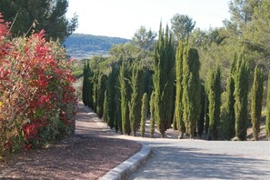 Property grounds - MAZET 4 Pers. CLIM-PERGOLA-TERRACE / GARDEN 40m2 - RESIDENCE POOL-WIFI (LA MOTTE)