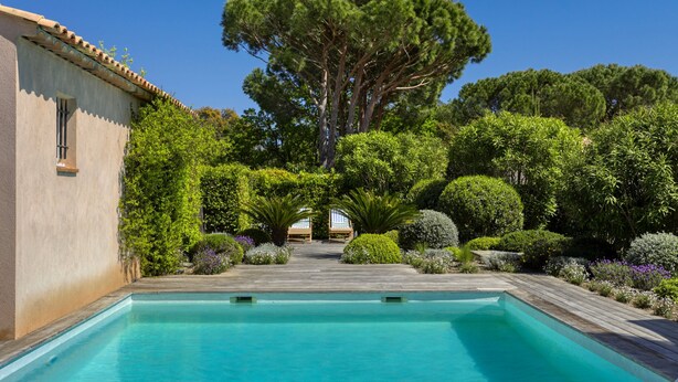 A pool surrounded by lush greenery and a large tree. - Luxury villa with private pool - 10 mn from St Tropez (Grimaud)