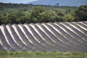星評価なしの画像、5 / 187、ボタン