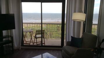 智能电视、DVD 播放器