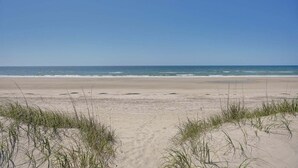 Una playa con arena y césped en primer plano, y el océano al fondo.