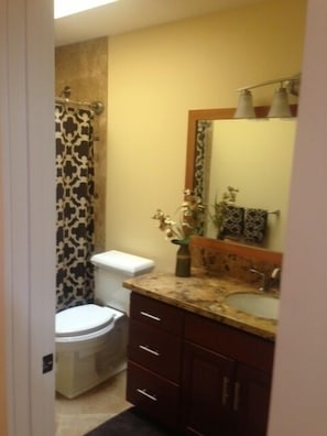 Combined shower/bathtub, hair dryer, towels, soap