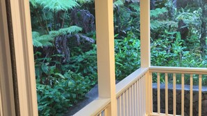 Eine überdachte Veranda mit weißen Geländern und Blick auf einen üppigen Garten mit verschiedenen Pflanzen und Farne.