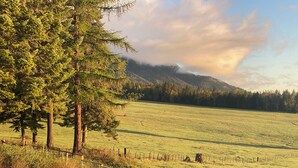 Un campo cubierto de césped con una cerca y árboles.