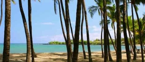 On the beach, sun loungers, beach towels