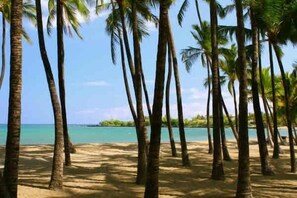 On the beach, sun-loungers, beach towels