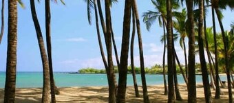 Updated 2 Bedroom Condo Walk to the Beach & Shops.