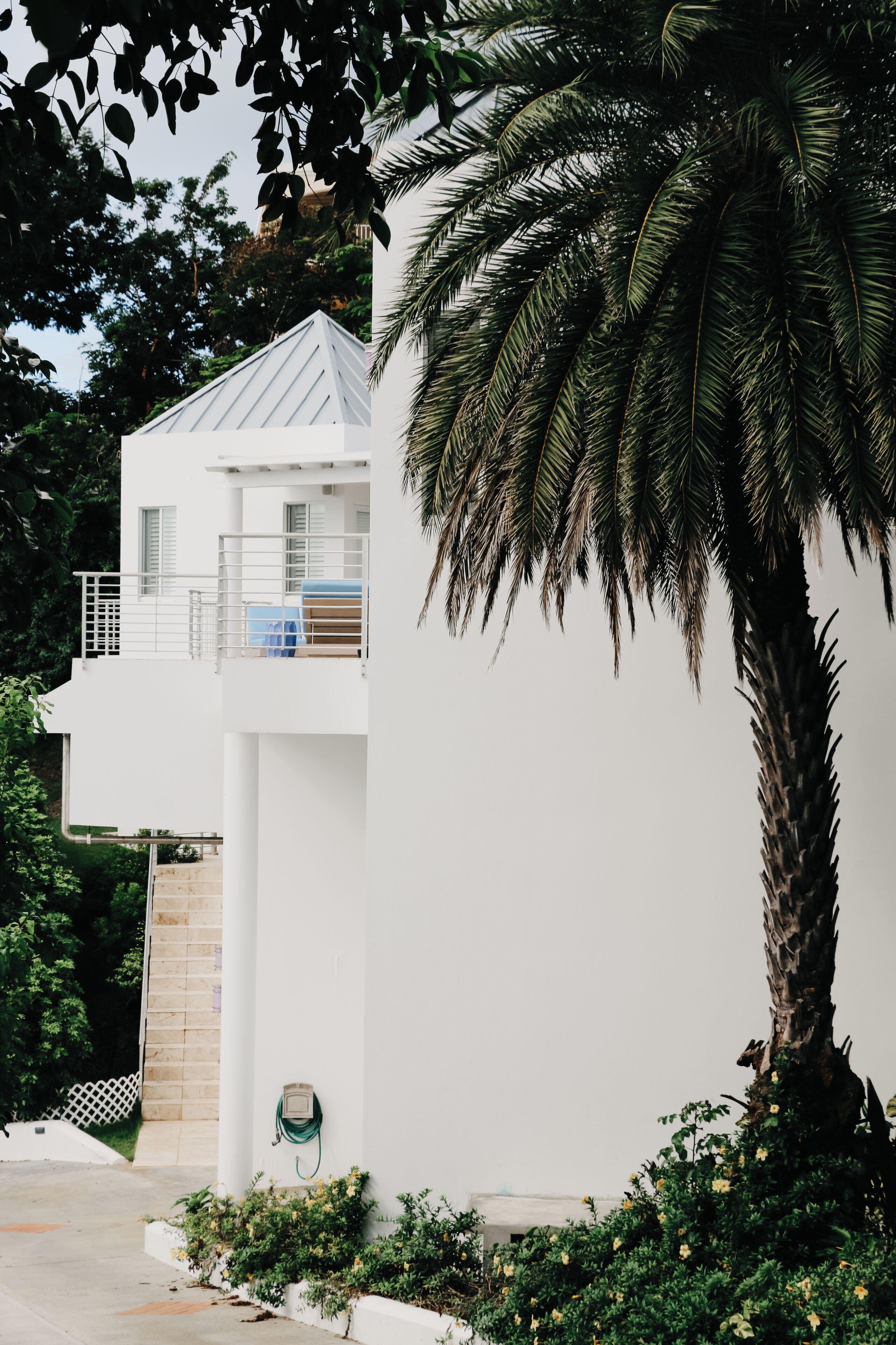 A white building with a balcony, surrounded by greenery and a palm tree.