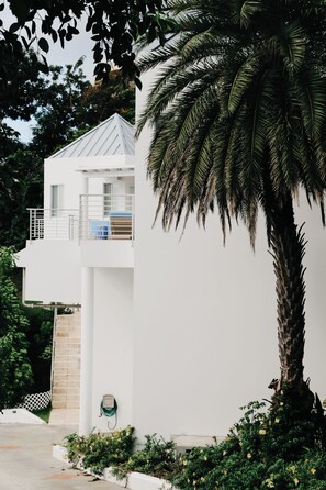 Un edificio blanco con balcón, rodeado de vegetación y una palmera.
