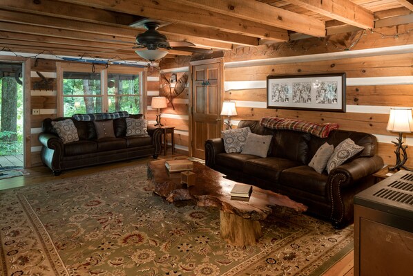 Televisión, chimenea, reproductor de DVD y libros 