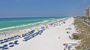 A beach with rows of umbrellas and beach chairs, a sandy shore, and the ocean. - Sunshine Daydream-Panoramic Gulf Views from Every Room! Beach Chair Svc Included (Miramar Beach)