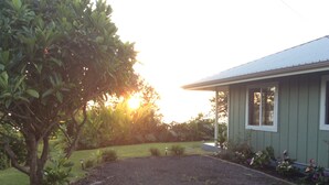A house with a gravel driveway, a lawn, and a tree.