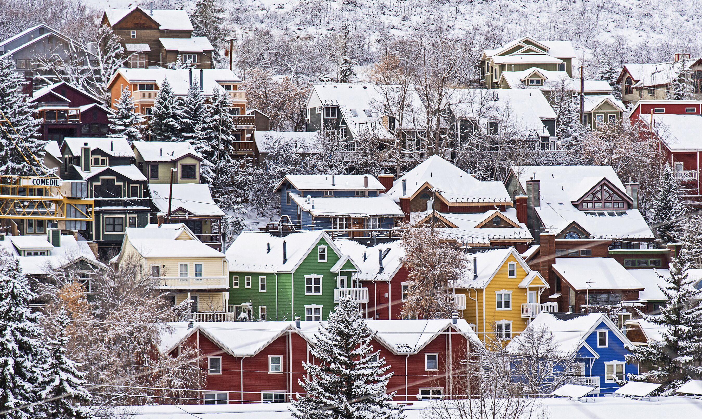 Un quartier résidentiel où l’on trouve une variété de styles et de couleurs de maisons, entouré d’arbres couverts de neige.