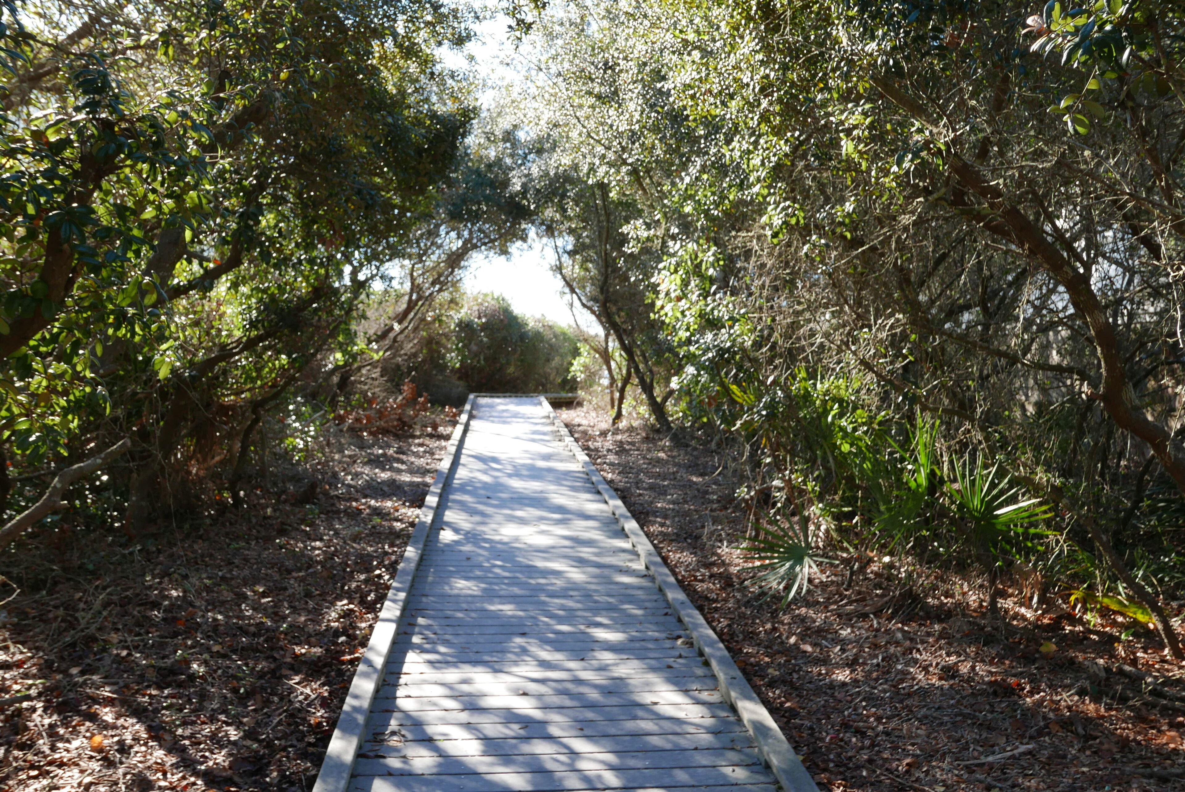 The arbored boardwalk leads to the beach overlook