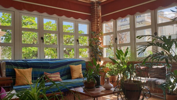 Habitación iluminada por el sol con un sofá, sillas y plantas en macetas.