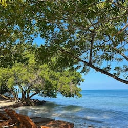 Spiaggia privata, sabbia bianca, lettini da mare, immersioni subacquee