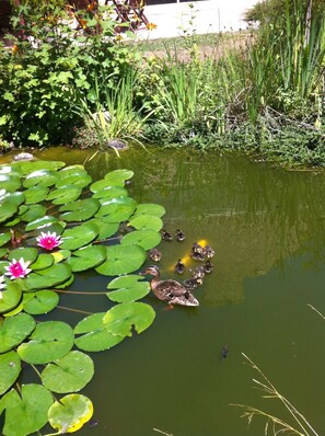 Enceinte de lâhĂ©bergement