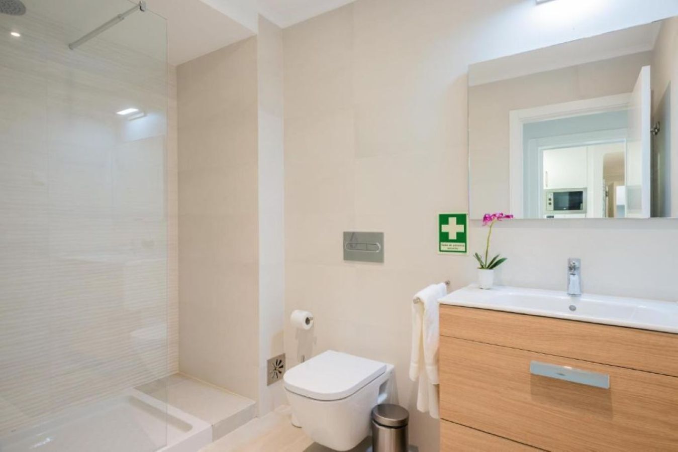 Casa de banho moderna com cabine de duche em vidro, sanita, lavatório com espelho e uma pequena planta em vaso.
