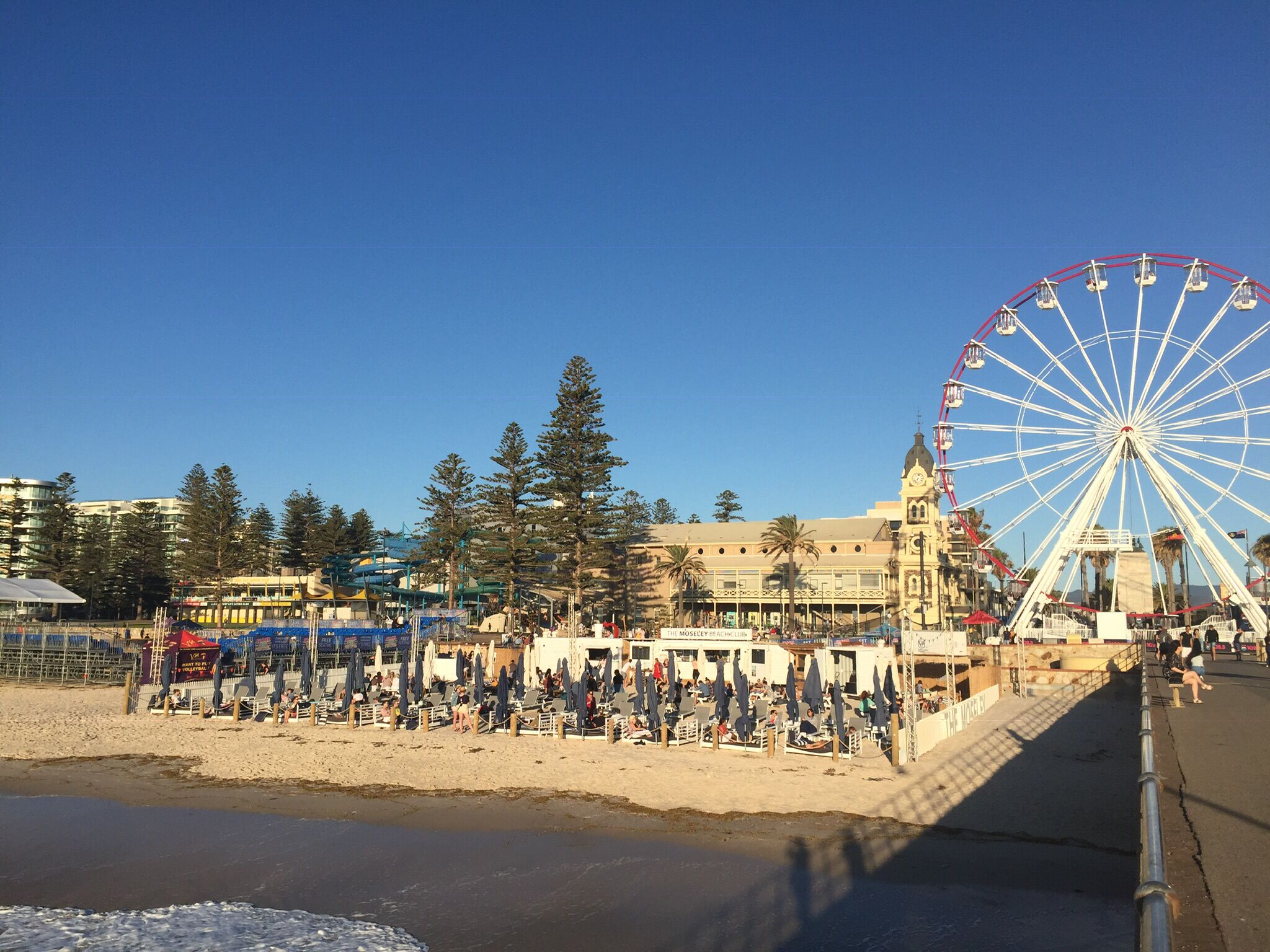 Horizon View at Glenelg Beach — image 8
