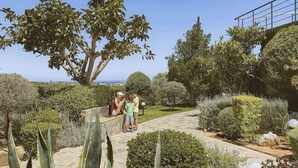 Un jardin avec différentes espèces de plantes et un sentier en pierre.